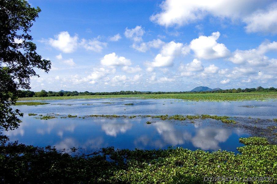 Uga Ulagalla - Anuradhapura Sigiriya Einrichtungen foto